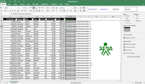 Excel Sena virtual